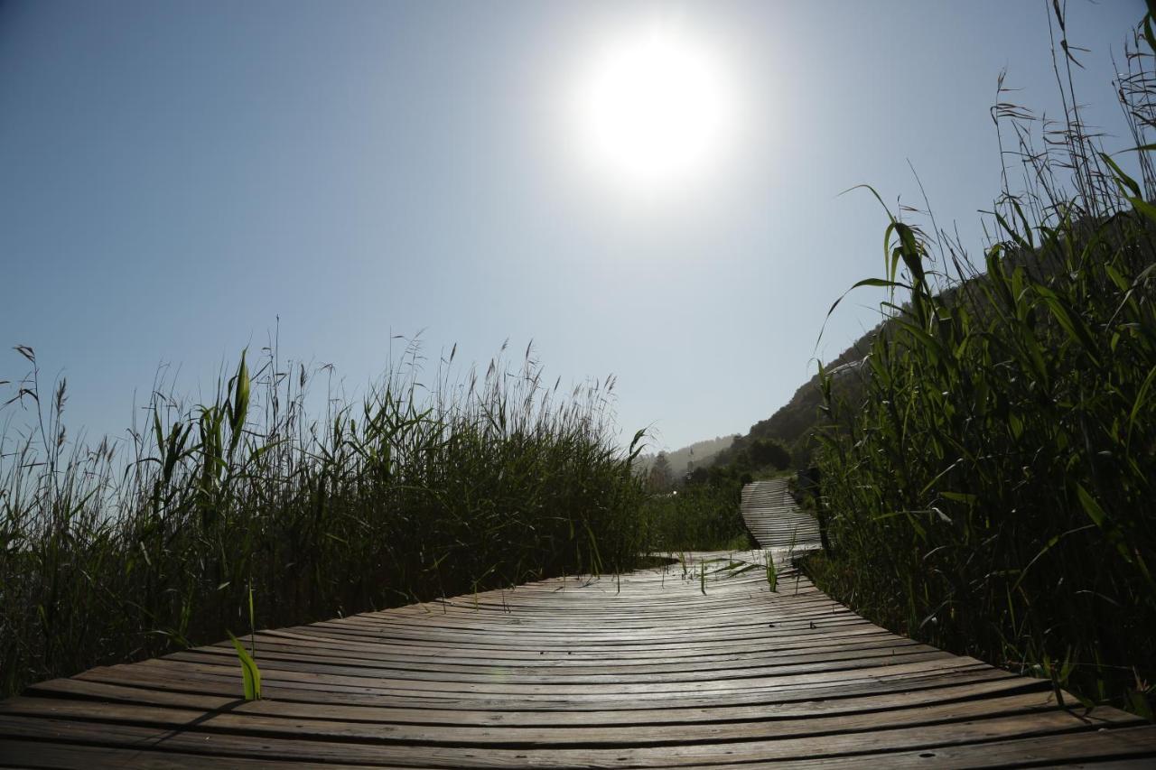 ווילדרנס Waterside Lodge מראה חיצוני תמונה